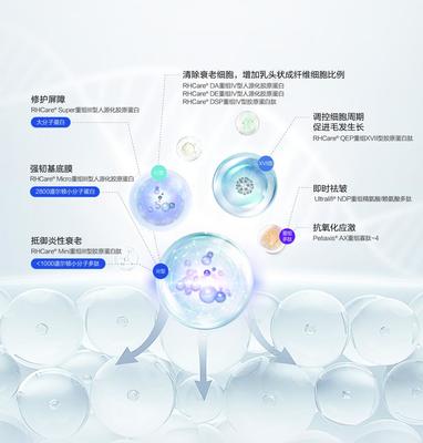 重組膠原蛋白賽道的創(chuàng)新解題思路 對(duì)話(huà)迪諾薇華孫璞談細(xì)胞技術(shù)研發(fā)與應(yīng)用