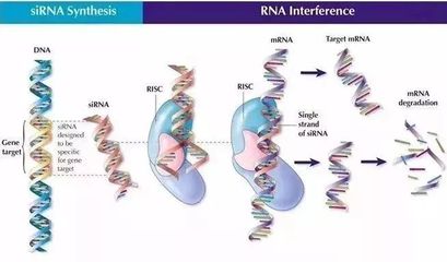 細(xì)胞技術(shù)引領(lǐng)護(hù)膚革命 安全到可以吃的面膜，讓色斑無(wú)所遁形