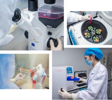 自貿(mào)區(qū)示范新篇章 壹加健康攜手珠海市人民醫(yī)院，開啟細(xì)胞技術(shù)研發(fā)與應(yīng)用生命健康戰(zhàn)略合作